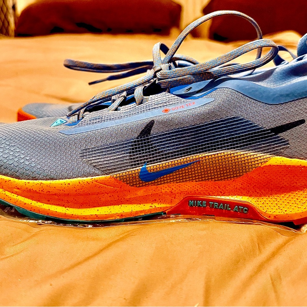 Nike Pegasus Trail Gore-Tex Running Shoes Blue Orange Men’s Size 10